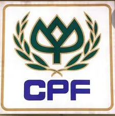 CP.png