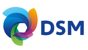 DSM.png